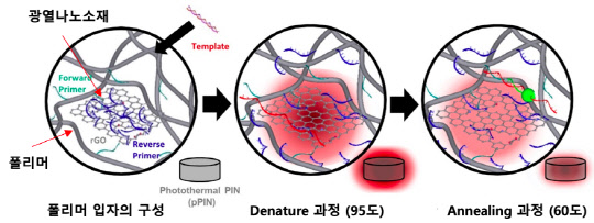 한국과학기술연구원(KIST)은 기존 PCR 검사 시간을 5분 내로 대폭 줄이고, 기존과 동등한 진단 성능을 지닌 '초고속 PCR 기술'을 개발했다. 사진은 폴리머 입자 내 광열 효과를 이용한 PCR 온도순환 모식도  KIST 제공